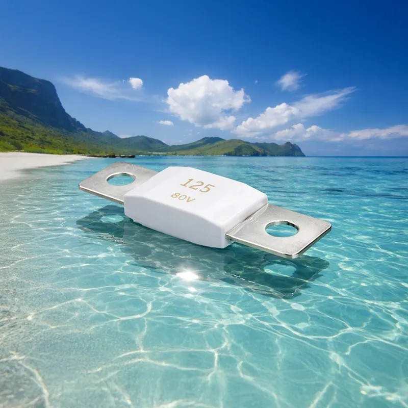 Victron Energy Fusible MEGA 125A/80V (5 pièces)