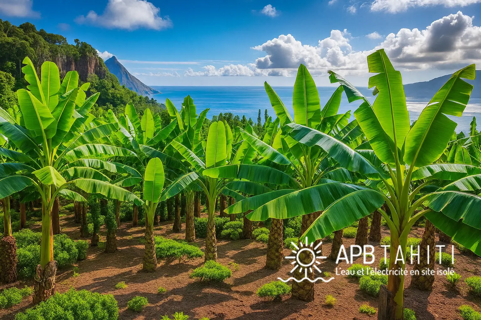 Tourisme – Hôtels, pensions de famille & îles privées